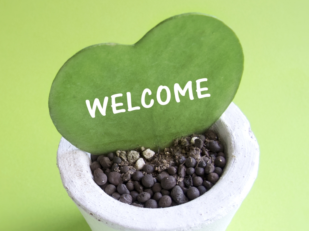 平成30年7月20日に「株式会社インテックス九州」のホームページを公開しました